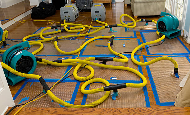 Professional Structural Drying And Dehumidification technician working in Weatherford, TX
